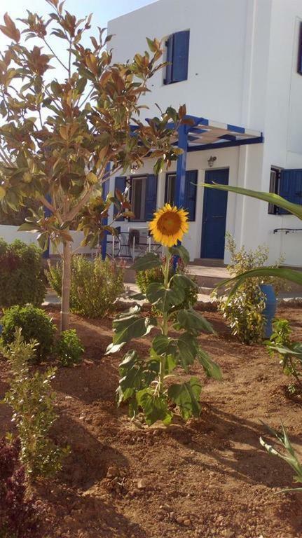 Ninemia Studios Serifos Island Ngoại thất bức ảnh